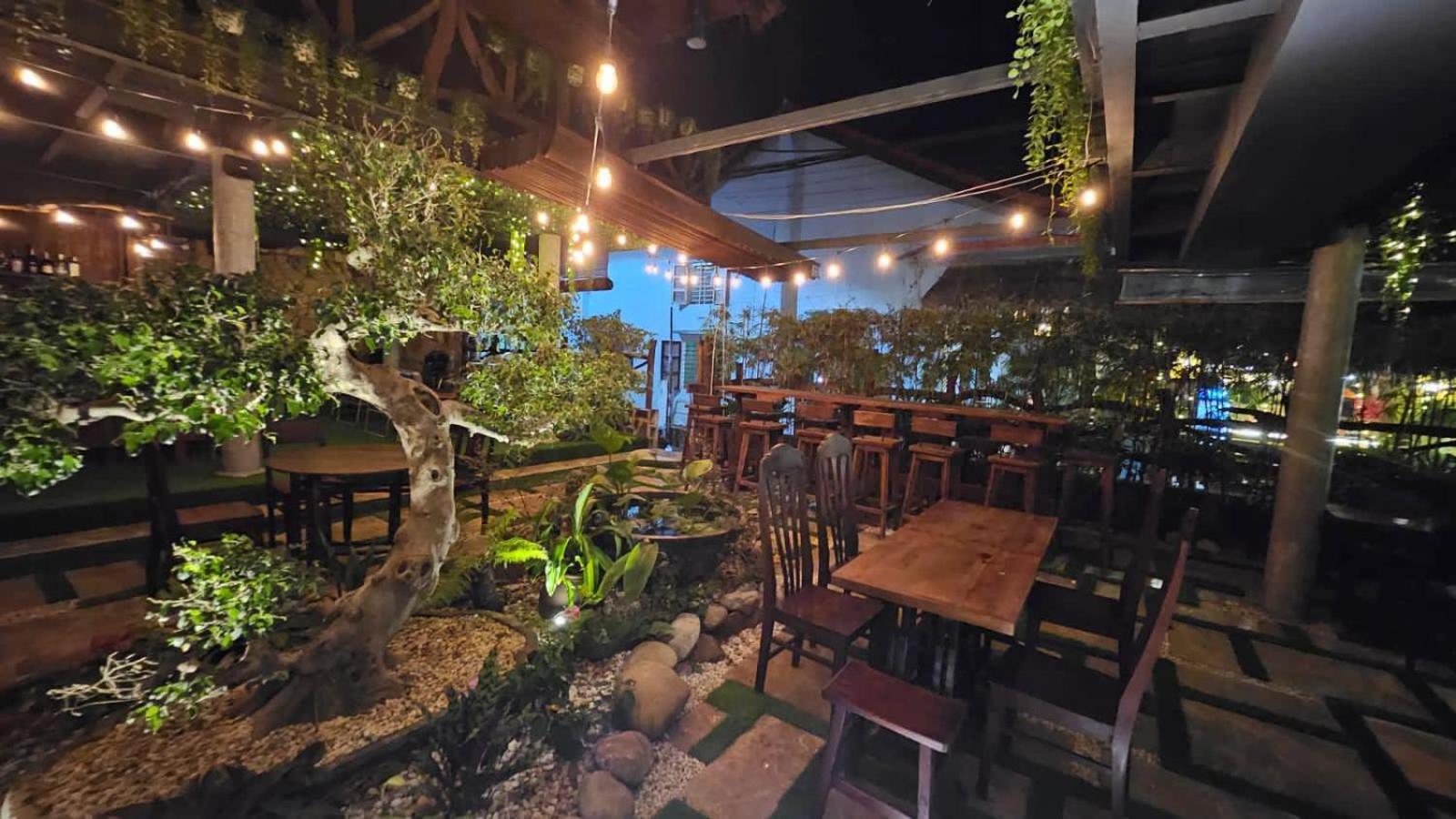 Phoenix Hotel An Bang Beach 会安 外观 照片