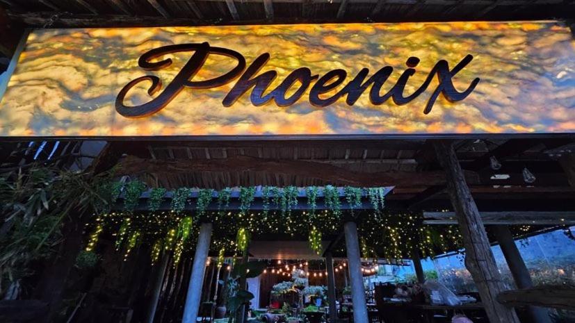 Phoenix Hotel An Bang Beach 会安 外观 照片